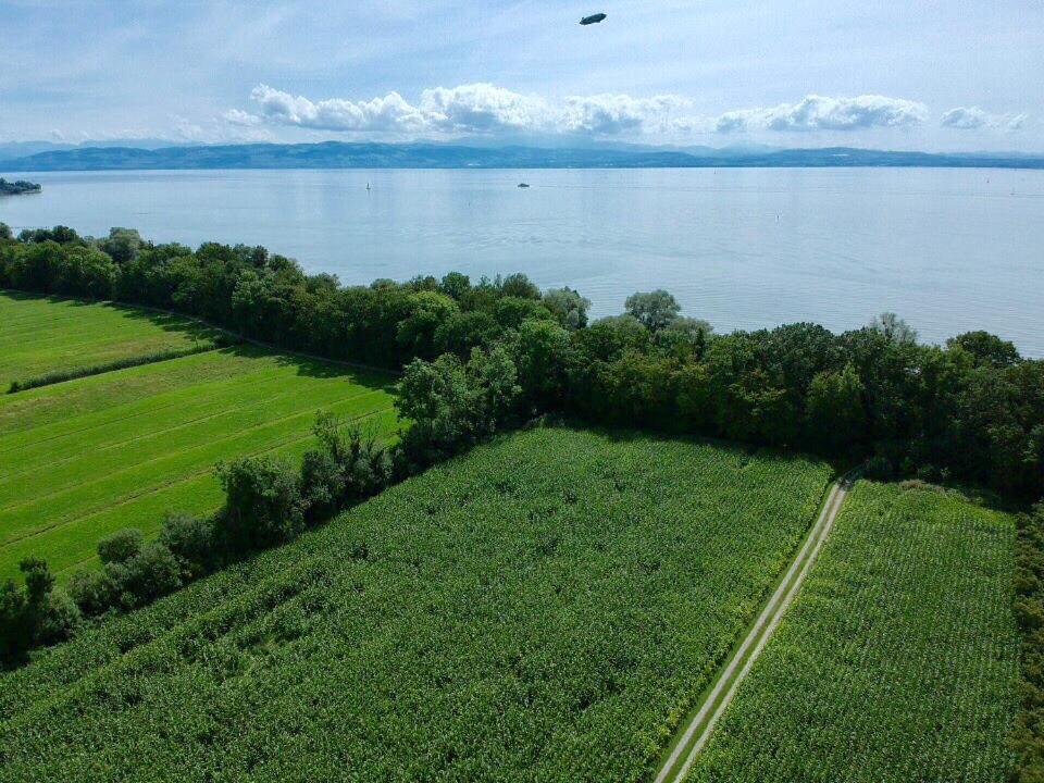 Wohlfuehl-Apartment Sandmuschel Im Naturschutzgebiet Mit Privatstrand Фрідріхсгафен Екстер'єр фото